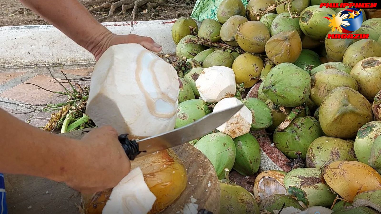 SIGHTS OF CAGAYAN DE ORO CITY & NORTHERN MINDANAO - Thirst Quencher - Coconut  Photo by Sir Dieter Sokoll, KOR