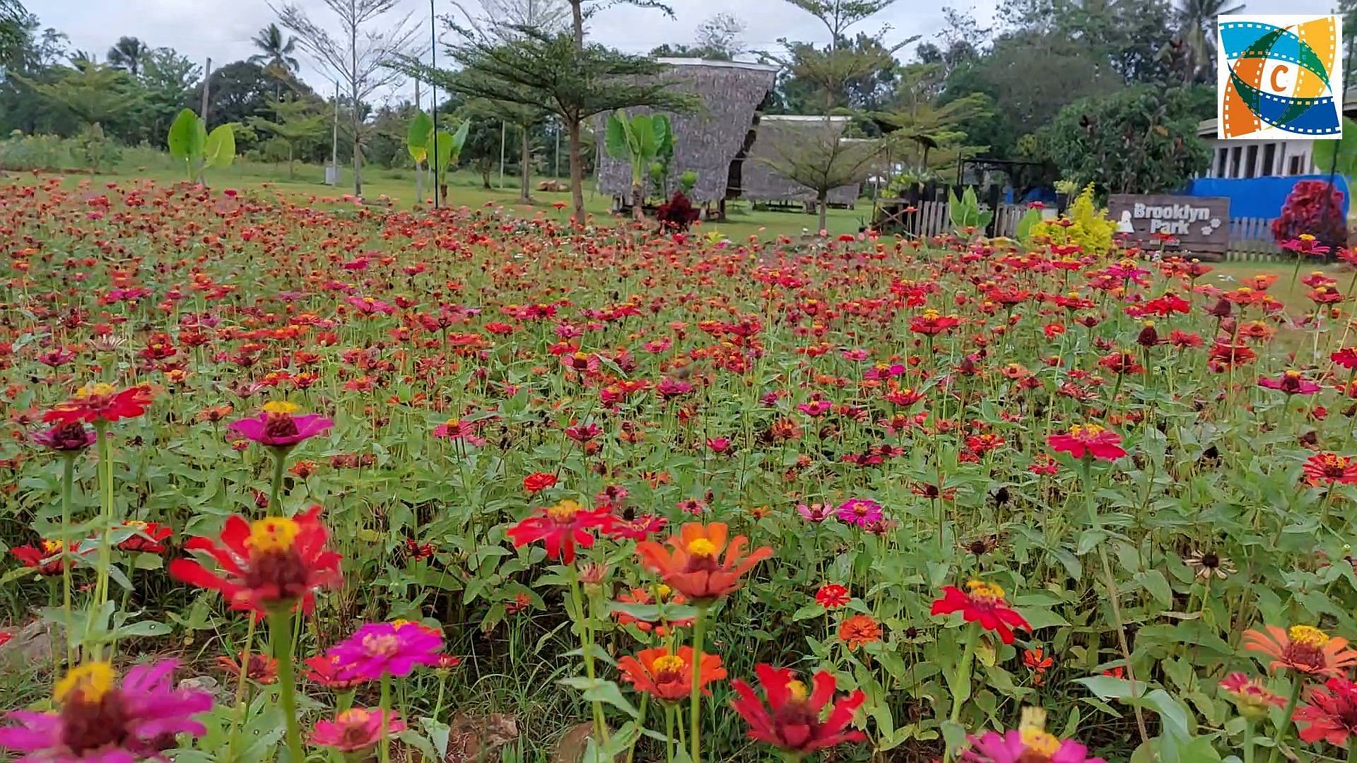 SIGHTS OF CAGAYAN DE ORO CITY & NORTHERN MINDANAO - Visiting the flower garden of Kinawe 