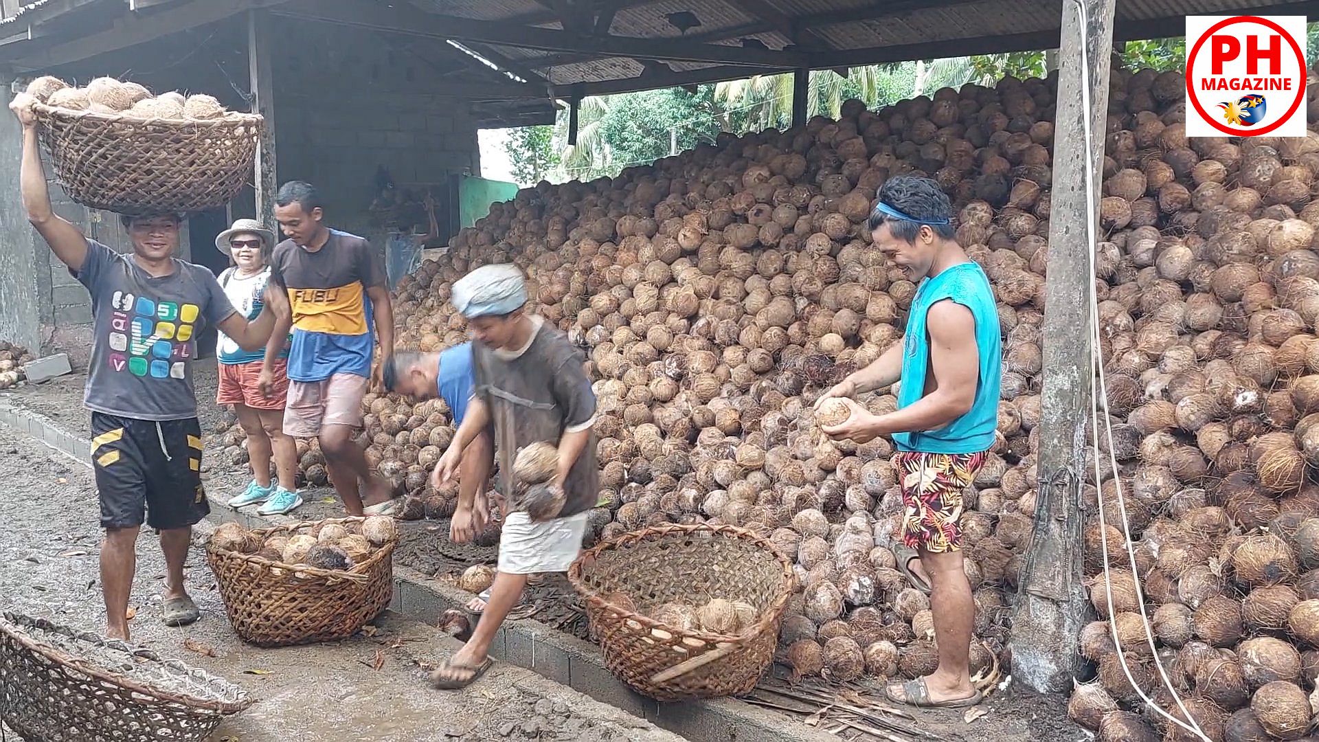 SIGHTS OF CAGAYAN DE ORO CITY & NORTHERN MINDANAO - MISAMIS ORIENTAL - Processing Coconuts in Balingoan