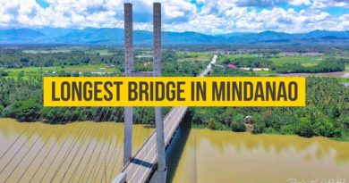 SIGHTS 6 SOUND OF CAGAYAN DE ORO AND NORTHERN MINDANAO - MISAMIS ORIENTAL - Macapaal Bridge