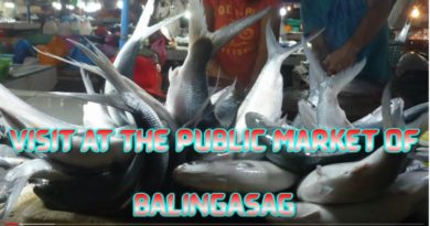 SIGHTS & SOUNDS OF CAGAYAN DE ORO & NORTHERN MINDANAO - Visit at the Market of Balingasag Photo and Video by Sir Dieter Sokoll