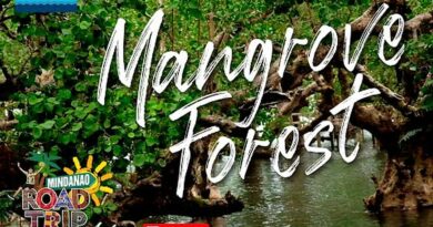 SIGHTS OF CAGAYAN DE ORO CITY & NORTHERN MINDANAO - CAMIGUIN - Mangrove Forest