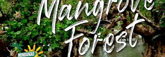 SIGHTS OF CAGAYAN DE ORO CITY & NORTHERN MINDANAO - CAMIGUIN - Mangrove Forest