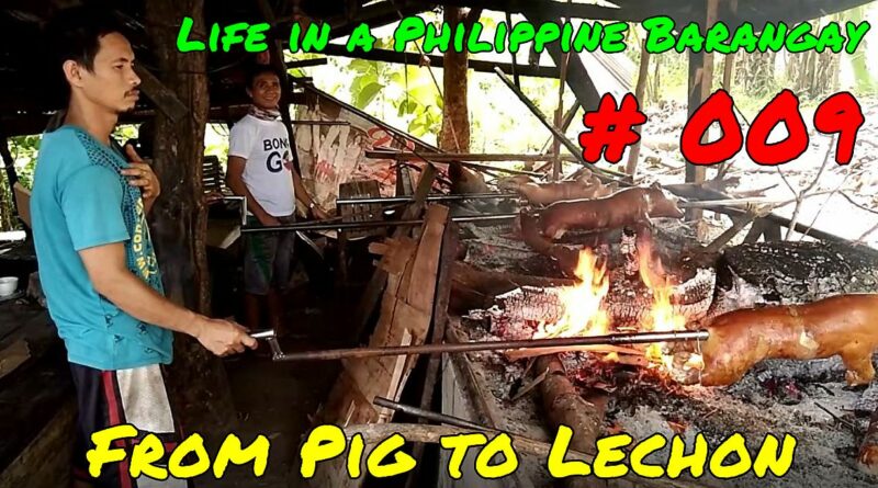 SIGHTS OF CAGAYAN DE ORO CITY & NORTHERN MINDANAO - Life in a Philippine Barangay # 009 - from Pig to Lechon Photo + video by Sir Dieter Sokoll