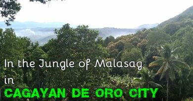 SIGHTS OF CAGAYAN DE ORO & NORHTERN MINDANAO - In the Jungle of Malasag Photo + video by Sir Dieter Sokoll for PHILIPPINE MAGAZINE