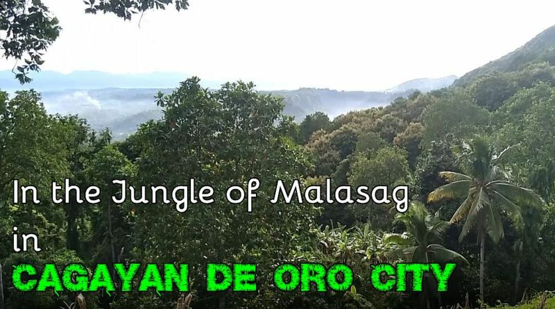 SIGHTS OF CAGAYAN DE ORO & NORHTERN MINDANAO - In the Jungle of Malasag Photo + video by Sir Dieter Sokoll for PHILIPPINE MAGAZINE