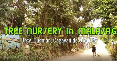 SIGHTS OF CAGAYAN DE ORO CITY & NORTHERN MINDANAO - TREE NURSERY in MALASAG GUGMAN CAGAYAN DE ORO CITY Photo + Video by Sir Dieter Sokoll