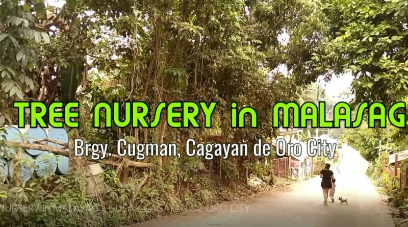 SIGHTS OF CAGAYAN DE ORO CITY & NORTHERN MINDANAO - TREE NURSERY in MALASAG GUGMAN CAGAYAN DE ORO CITY Photo + Video by Sir Dieter Sokoll