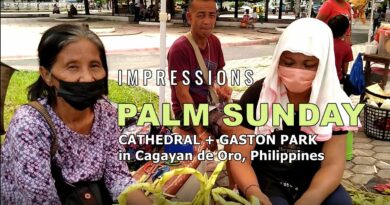 SIGHTS OF CAGAYAN DE ORO CITY & NORTHERN MINDANAO; - VIDEO: Impressions on PALM SUNDAY at Cathedral and Gaston Park