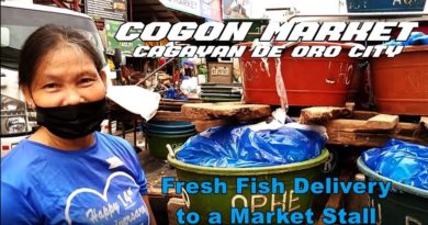 SIGHTS OF CAGAYAN DE ORO CITY & NORTHERN MINDANAO - COGON MARKET: Fresh Fish Delivery