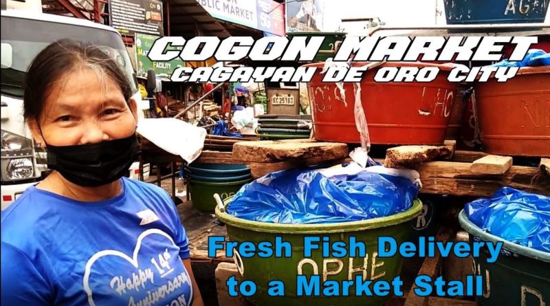 SIGHTS OF CAGAYAN DE ORO CITY & NORTHERN MINDANAO - COGON MARKET: Fresh Fish Delivery