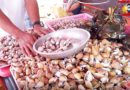 SIGHTS OF CAGAYAN DE ORO CITY & NORTHERN MINDANAO - IMAGE OF THE DAY - Shells for a good Soup Photo by Sir Dieter Sokoll, KOR