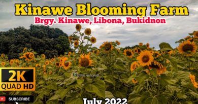 SIGHTS OF CAGAYAN DE ORO CITY & NORTHERN MINDANAO - BUKIDNON - VIDEO: Kinawe Blooming Farm in Libona