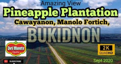 SIGHTS OF CAGAYAN DE ORO CITY & NORTHERN MINDANAO - Amazing Aerial View | Pineapple Plantation