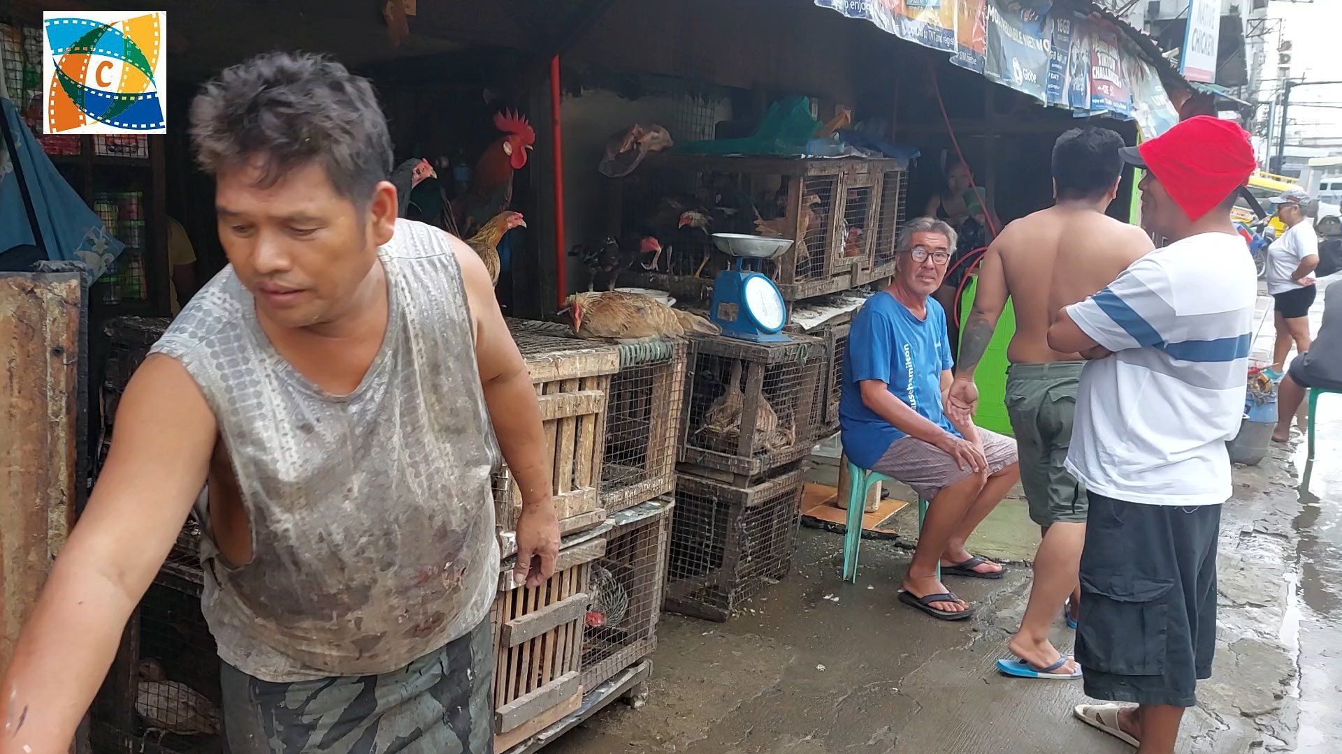 SIGHTS OF CAGAYAN DE ORO CITY & NORTHERN MINDANAO - Live Poultry Market